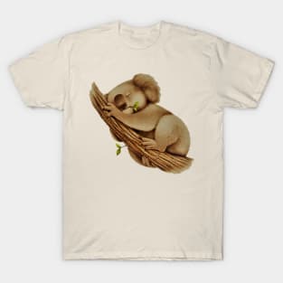 Sleepy Brown Koala T-Shirt